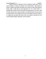 Referāts 'Kaizen', 4.