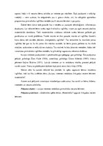 Diplomdarbs 'Izziņas intereses veidošana 5-6 gadus veciem bērniem matemātikā', 5.