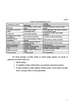 Referāts 'Mūsdienu ideālais uzņēmums', 5.