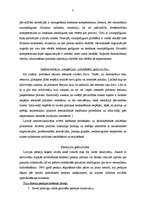 Eseja 'Pozīcija un opozīcija', 3.