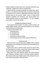 Eseja 'Pozīcija un opozīcija', 5.