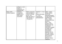 Konspekts 'Pigmentu īpašības, raksturojums un pielietojums', 11.