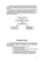 Prakses atskaite 'Prakses atskaite grāmatvedībā SIA "Mc Donald's Latvija" restorānā "Luna"', 9.