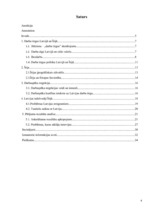 Referāts 'Latvijas viesstrādnieki Īrijā', 4.