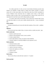 Referāts 'Latvijas viesstrādnieki Īrijā', 5.