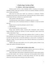 Referāts 'Latvijas viesstrādnieki Īrijā', 7.