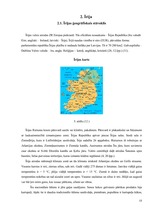 Referāts 'Latvijas viesstrādnieki Īrijā', 13.