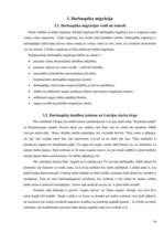 Referāts 'Latvijas viesstrādnieki Īrijā', 16.