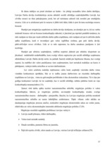 Referāts 'Latvijas viesstrādnieki Īrijā', 17.