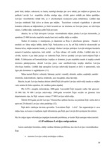 Referāts 'Latvijas viesstrādnieki Īrijā', 19.