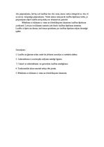 Eseja 'Paražas ģimenē', 3.