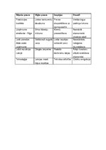 Biznesa plāns 'Biznesa plāns zivju pārstrādes uzņēmumam', 5.