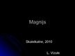 Prezentācija 'Magnijs', 1.
