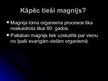 Prezentācija 'Magnijs', 5.