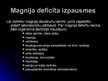 Prezentācija 'Magnijs', 8.
