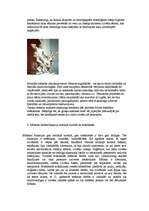 Konspekts 'Senās Grieķijas un Senās Romas mākslas principi', 5.