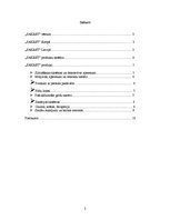 Referāts 'Rūpnīca "Sakret"', 2.