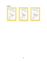 Referāts 'Rūpnīca "Sakret"', 14.