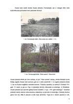 Referāts 'Saukas ezeram pieguļošo zemju apsaimniekošana', 9.