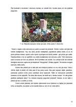 Referāts 'Saukas ezeram pieguļošo zemju apsaimniekošana', 16.