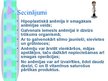 Prezentācija 'Anēmija', 19.