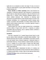 Referāts 'Baltkrievijas valstiskās un nacionālās identitātes problēmas', 10.