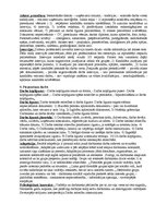 Konspekts 'Personāla vadība', 6.