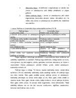 Referāts 'Vidēji liela uzņēmuma iespējas noturēties tirgū lielas konkurences apstākļos', 7.