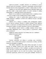 Referāts 'Vidēji liela uzņēmuma iespējas noturēties tirgū lielas konkurences apstākļos', 19.