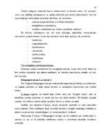 Referāts 'Vidēji liela uzņēmuma iespējas noturēties tirgū lielas konkurences apstākļos', 28.