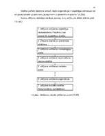 Referāts 'Vidēji liela uzņēmuma iespējas noturēties tirgū lielas konkurences apstākļos', 41.