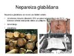Prezentācija 'Kokmateriālu glabāšana, transportēšana un montāža', 3.