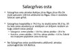 Prezentācija 'Latvijas mazās ostas', 24.