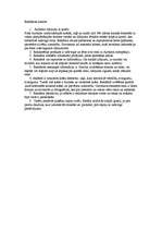 Eseja 'Aviokompānijas "AirBaltic" reklāmas analīze', 1.