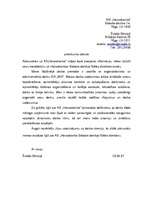 Paraugs 'Lietišķie raksti', 4.