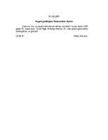 Paraugs 'Lietišķie raksti', 5.