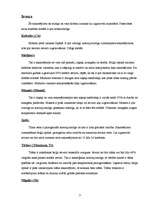 Referāts 'Metāla briļļu ietvari', 3.