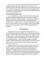 Referāts 'Metāla briļļu ietvari', 4.