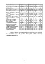 Biznesa plāns 'SIA "Indras meistars"', 9.