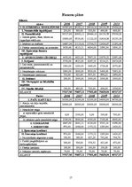 Biznesa plāns 'SIA "Indras meistars"', 17.