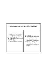 Konspekts 'Medikamentozais aprūpes plāns', 5.