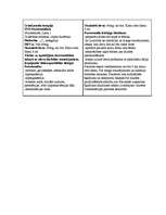 Konspekts 'Medikamentozais aprūpes plāns', 8.