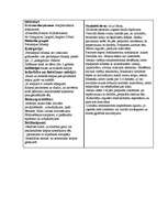 Konspekts 'Medikamentozais aprūpes plāns', 10.