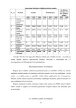 Prakses atskaite 'Prakses atskaite finansēs', 10.