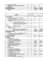 Prakses atskaite 'Prakses atskaite finansēs', 40.