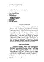 Referāts 'Dziedinošā pirts', 11.