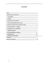 Referāts 'Atsevišķu iedzīvotāju grupu nodarbinātības un bezdarba problēmas Latvijā', 2.