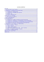 Referāts 'A/s "Liepājas Metalurgs" saimnieciskās darbības novērtējums', 2.