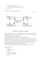 Referāts 'A/s "Liepājas Metalurgs" saimnieciskās darbības novērtējums', 10.