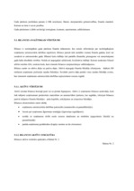 Referāts 'A/s "Liepājas Metalurgs" saimnieciskās darbības novērtējums', 11.